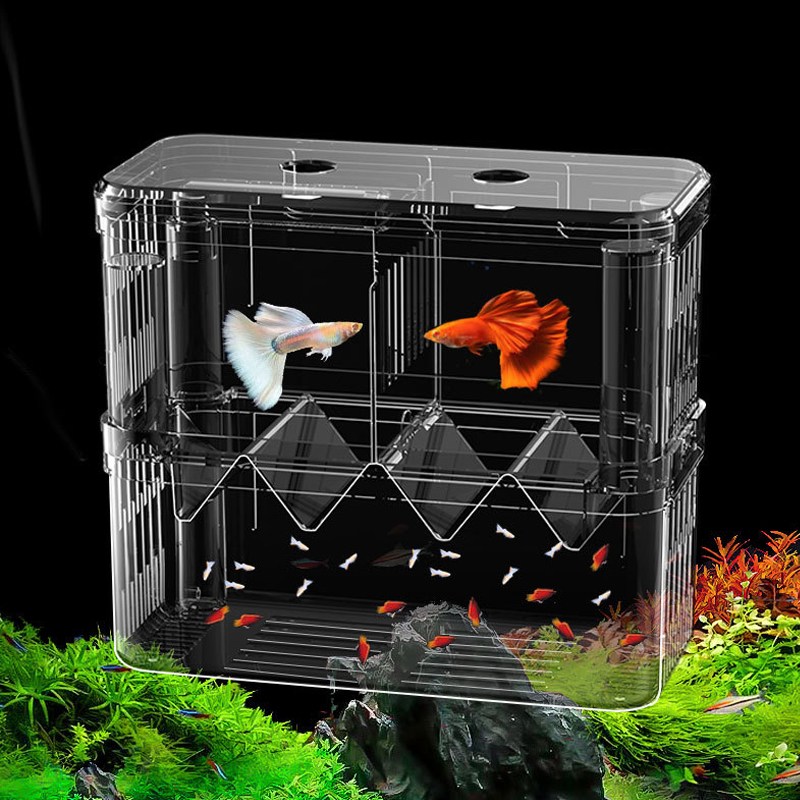 영아쿠아 에어레이션 멀티 2단 부화통 GLH-03 6,000원