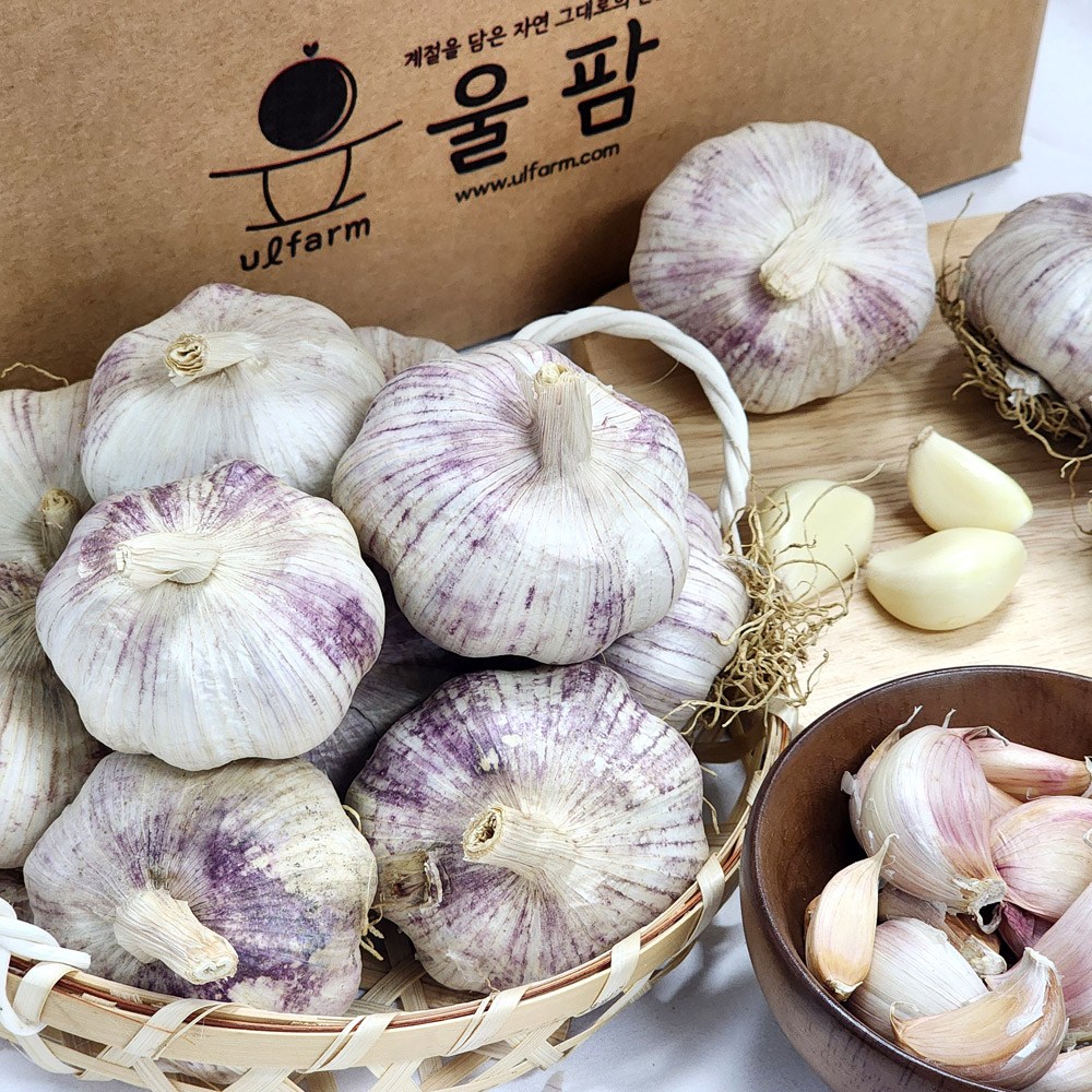[울팜] 국내산 창녕 통마늘 피마늘, 1개, 통마늘 1kg 11,900원