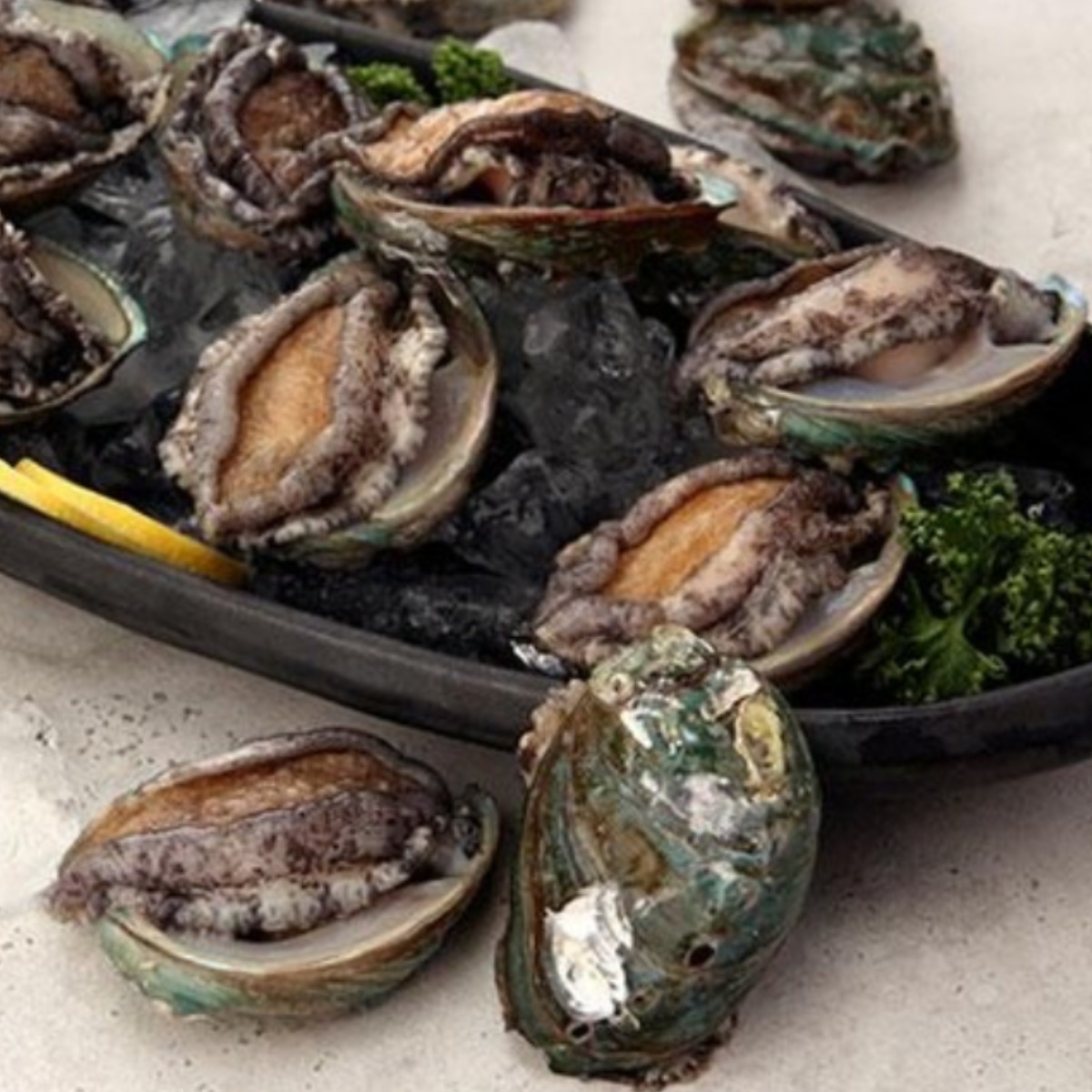 [오초록] 완도직송 완도 활전복(특대) 1kg(7~8미) / 해수 산소포장 49,900원