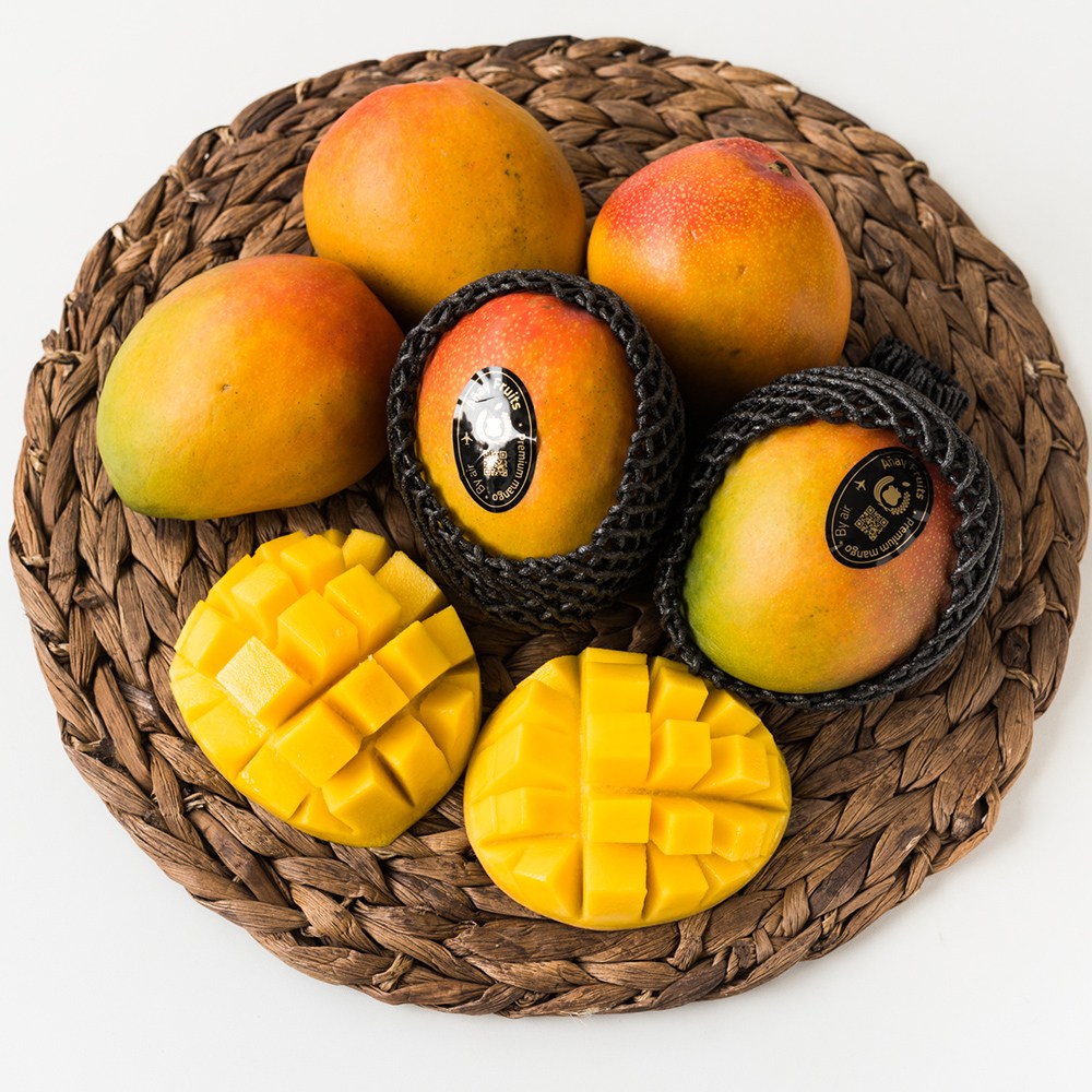 [한정특가 30박스] 프리미엄 고당도 애플망고, 1개, 4kg / 8~10과 39,880원