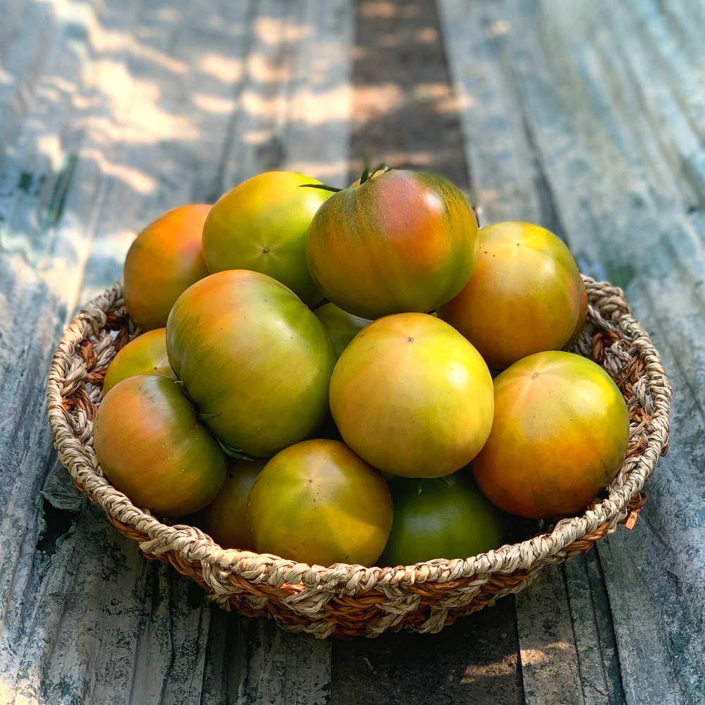 선한마켓) 대저농협인증 대저 짭짤이 토마토 산지직송 30,000원