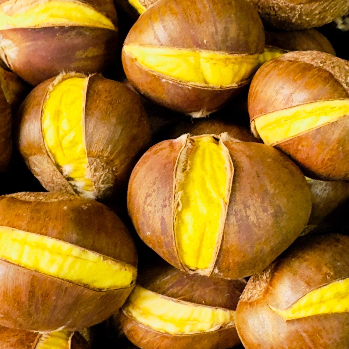 다인 약단밤, 2025년 햇생율, 맛있는 생율(생밤), 1개, 1kg 14,000원