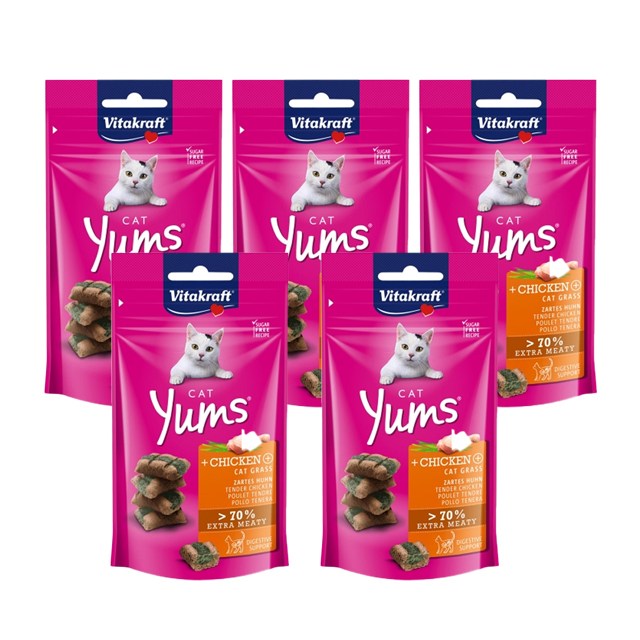비타크레프트 캣얌 고양이 스낵, 치킨 + 캣그라스 혼합맛, 40g, 5개 20,320원