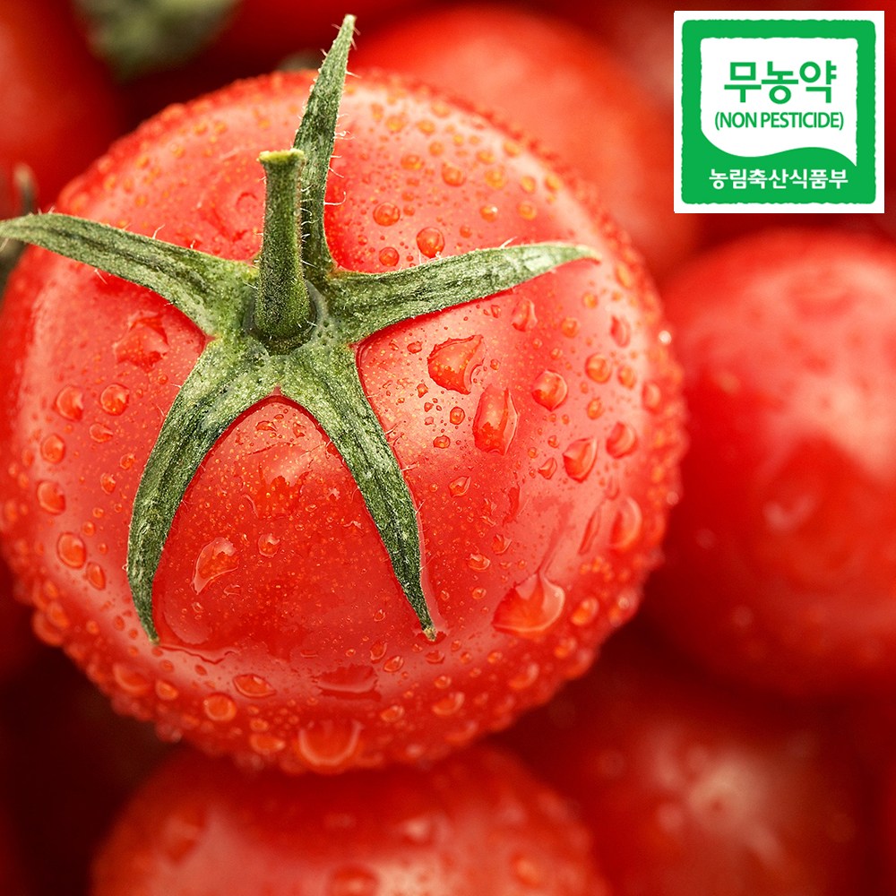 친환경 무농약 완숙 토마토 1kg 3kg 5kg 26,900원