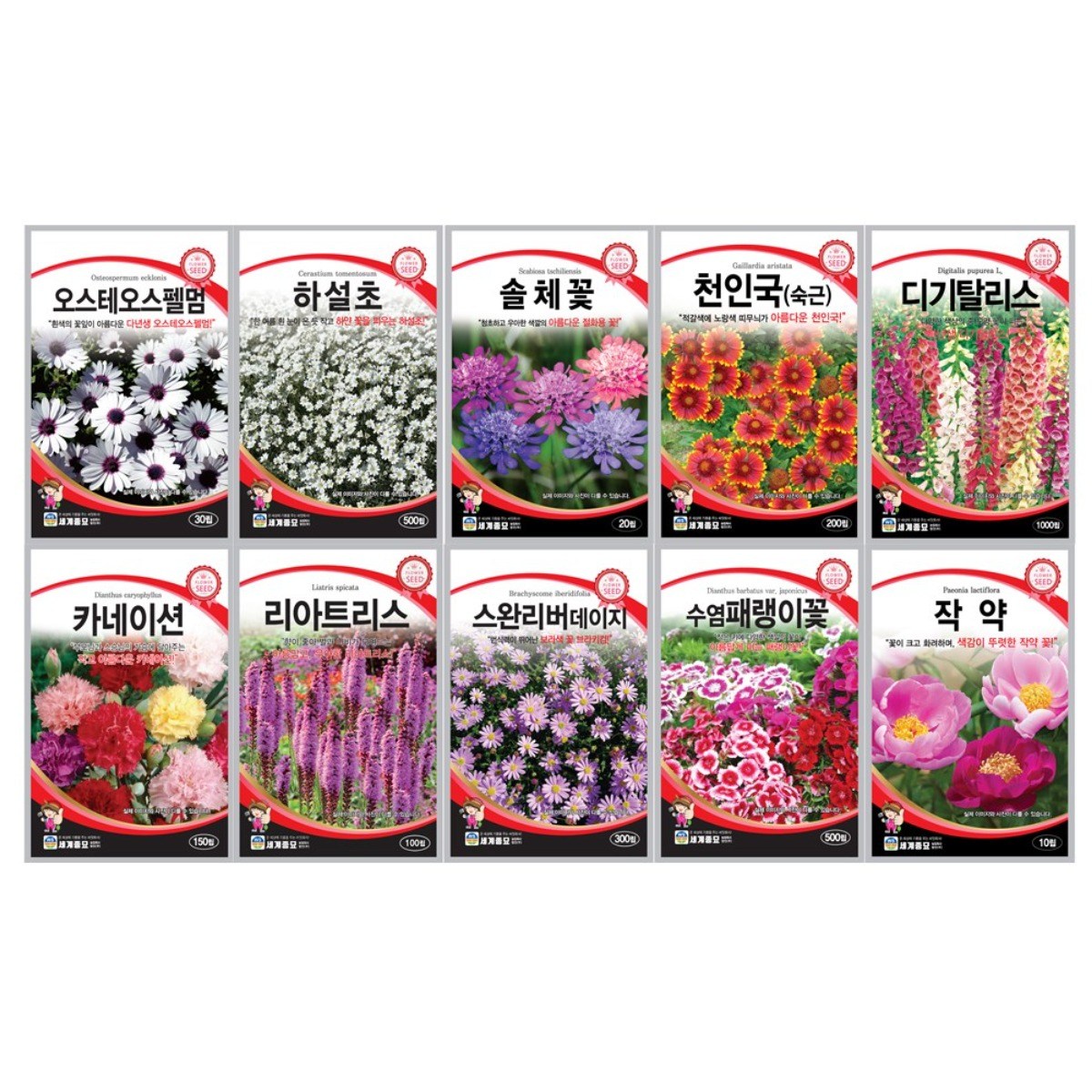 모칸도 다년생 꽃씨앗 10종 모음B 다년생 꽃씨앗 노지 월동 야생화 씨앗 봄 가을 파종 꽃씨 26,900원