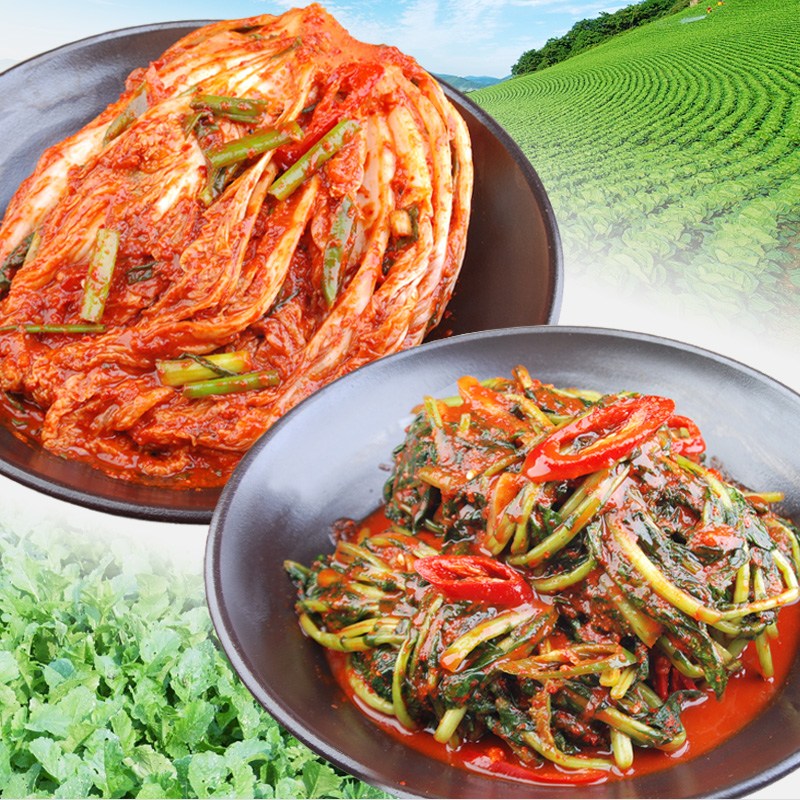 [밥도둑들] 국산포기김치2k+열무김치2k /무료배송/ 맛없으면 무료반품 21,900원