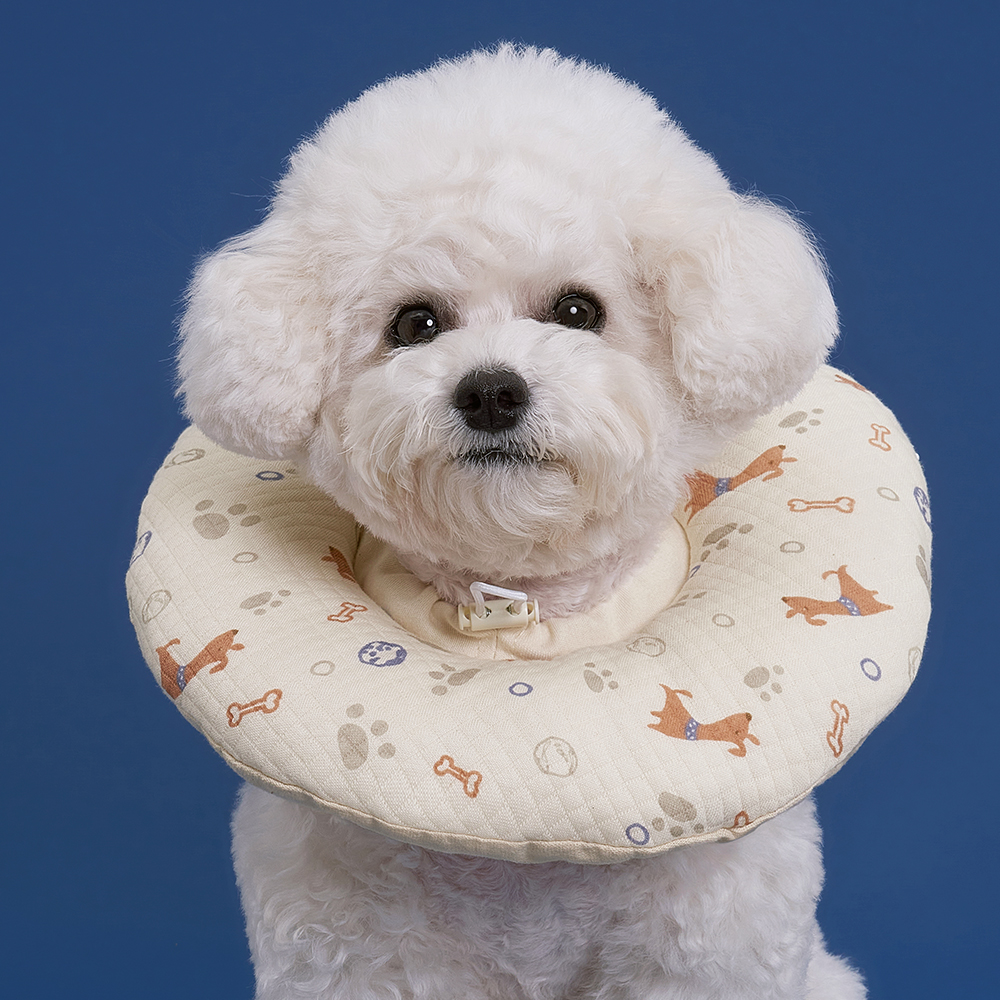 도그아이 반려동물 목화솜 쿠션 넥카라 9,900원