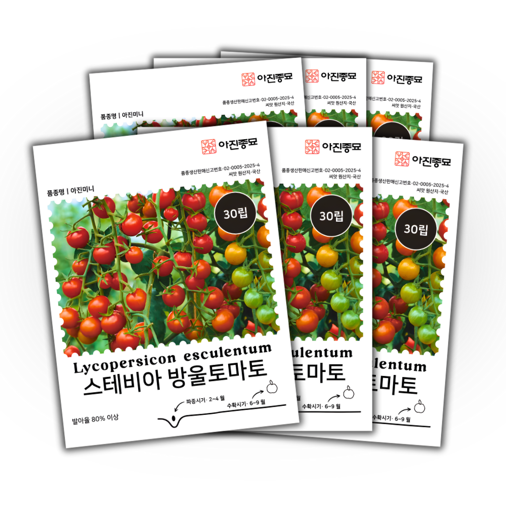 [주주씨앗] 스테비아 방울토마토 씨앗 30립 / 고당도 과일 토마토 종자, 6개 18,000원