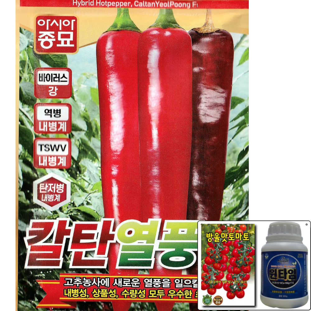 아시아종묘 칼탄열풍 1200립 고추 씨앗 탄저병 바이러스 역병 내병계 조생종 중생종 다수확 대과 아시아, 1개 150,000원