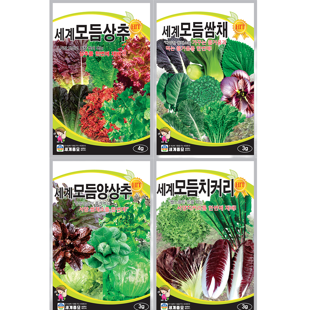 세계 인기 모듬 상추 치커리 양상추 쌈채 씨앗 4종 세트, 1개 12,900원