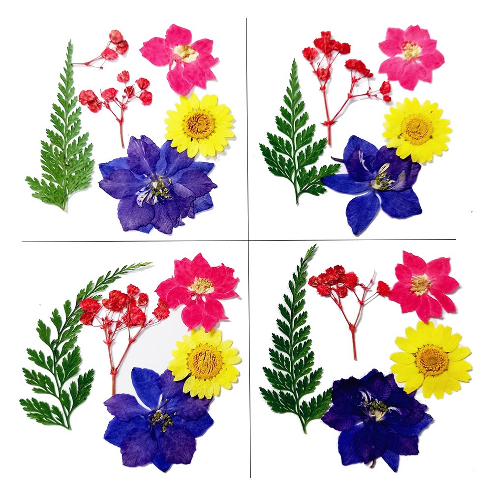 압화 (1인팩X4세트) A형 공예재료 책갈피 편지 꾸미기 레진 꽃재료 누름꽃 4,980원