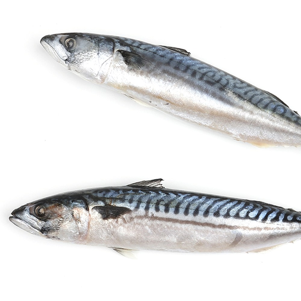 노르웨이 냉동고등어 원물 고등어 조림용 구이용, 4개, 400~600g 34,000원