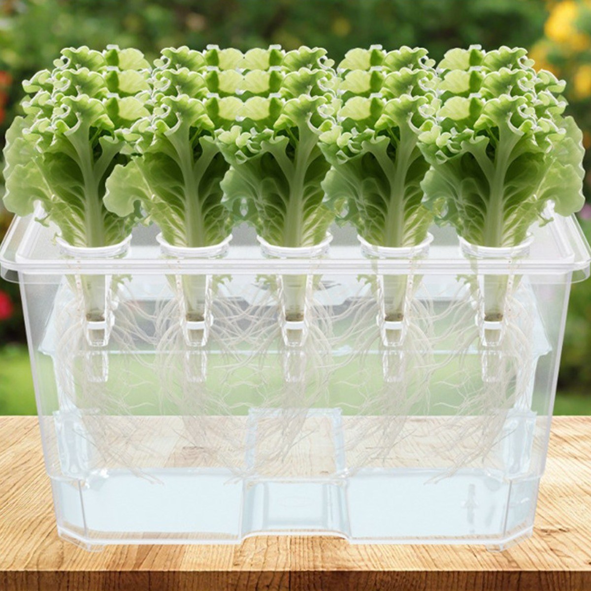 MMC 식물 수경재배 키트 가정용 식물 재배기 15구, 1개 24,800원