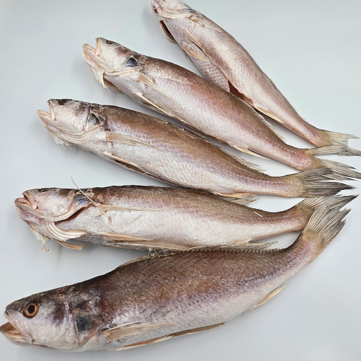 구포시장 부자생선 반건조생선 반찬용 구이용 저염 쫄깃한 민어조기 27cm, 30cm, 34cm 10마리, 1세트, 2380g 110,000원