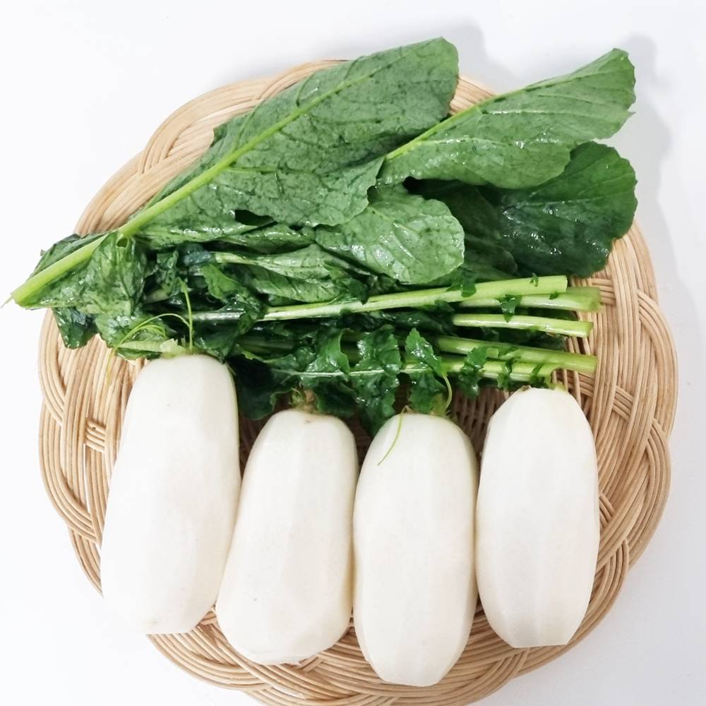 농장 직송 산지 국산 천일염으로 절인 아삭한 절임 총각무 초롱무 알타리, 1개, 10kg 49,900원