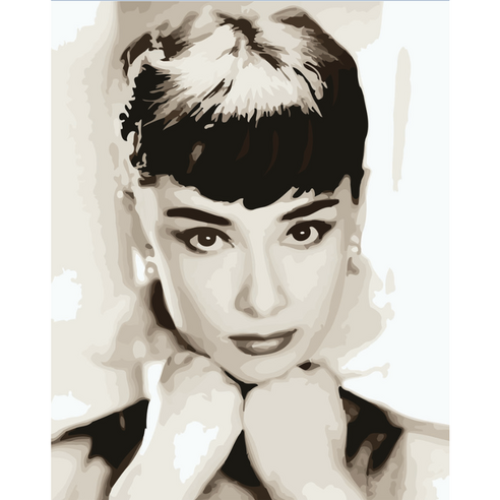 모모픽스페인팅 DIY 일러스트그리기 세트 40 x 50 cm 14,340원