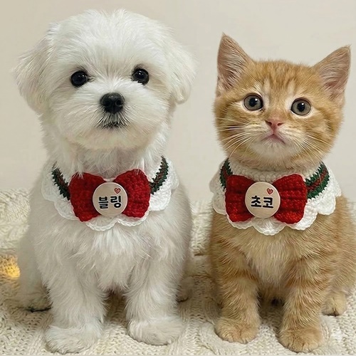 강아지 고양이 니트 케이프 야광 이름 브로치, 1개, 레드 13,900원