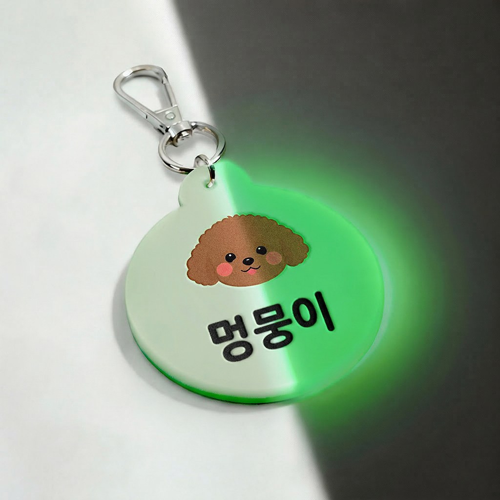 [블루나 디자인스튜디오]반려동물 야광 네임택  키링 강아지 애견  인식표 이름표  네임텍 인식표목걸이 12,900원