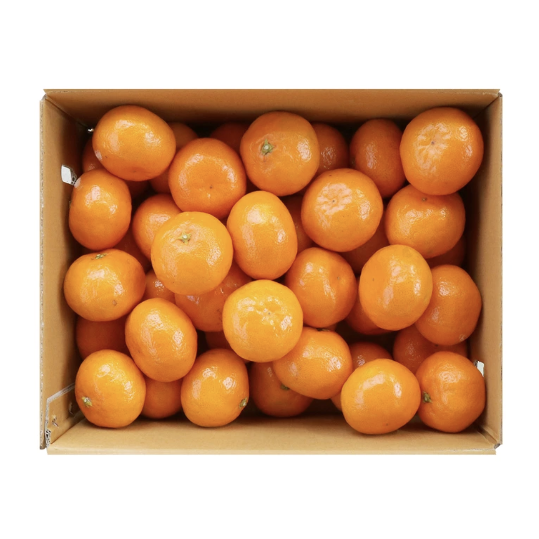 감귤농협 제주 불로초 고당도 하우스 감귤 3kg 국내산 고당도, 1박스, 3kg 65,980원