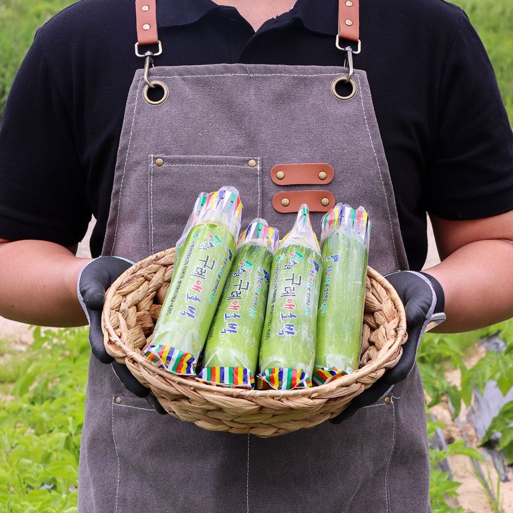 국산 애호박 인큐애호박 10개 20개 (상) 혼합, 20개 24,000원