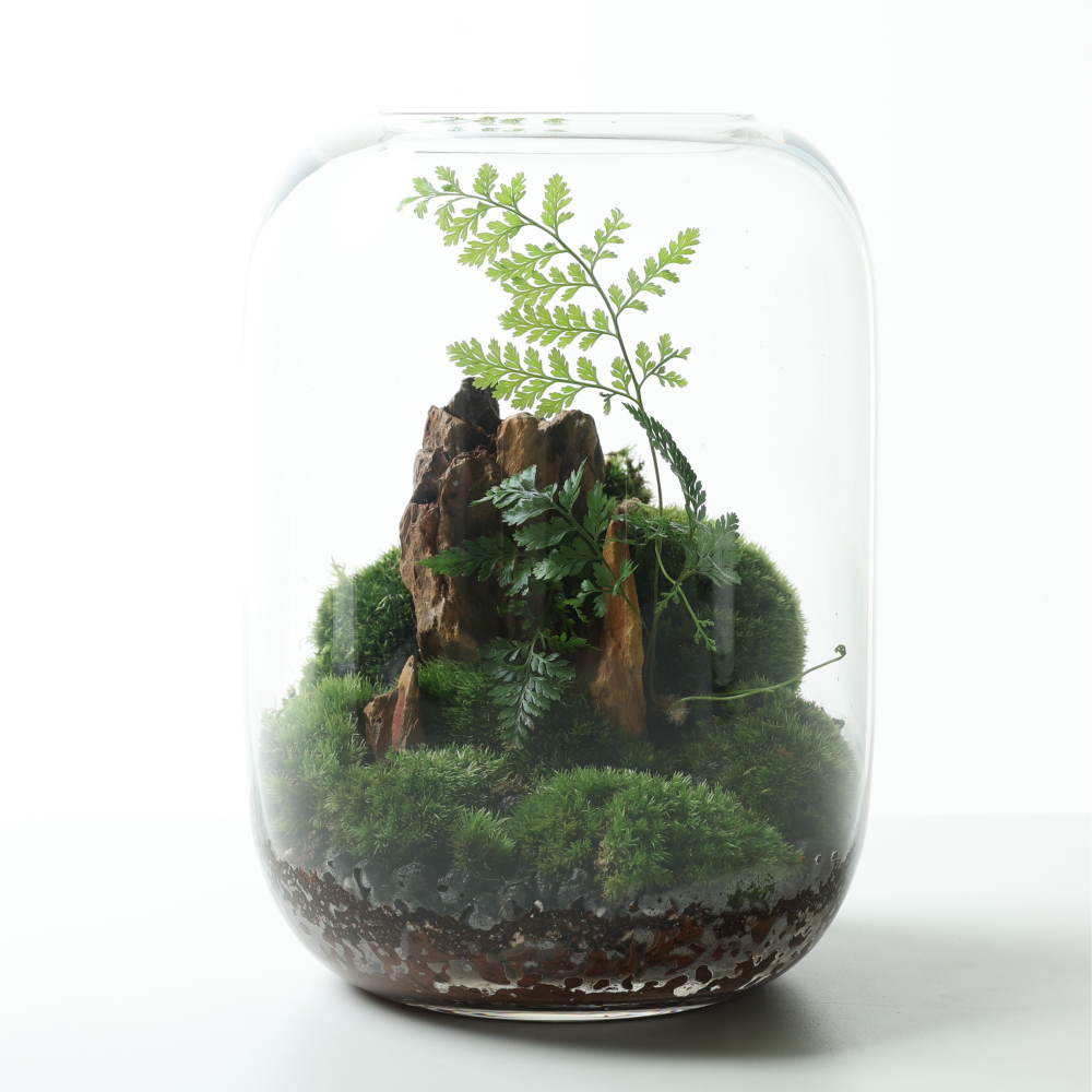 포러모먼트 이끼 테라리움 키트  DIY 만들기 41,000원