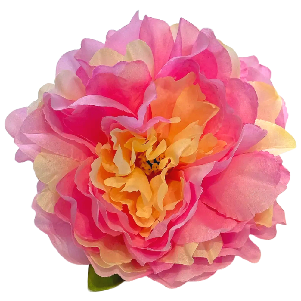 베타꽃침대 1+1 베타 어항꾸미기 은신처 12,500원