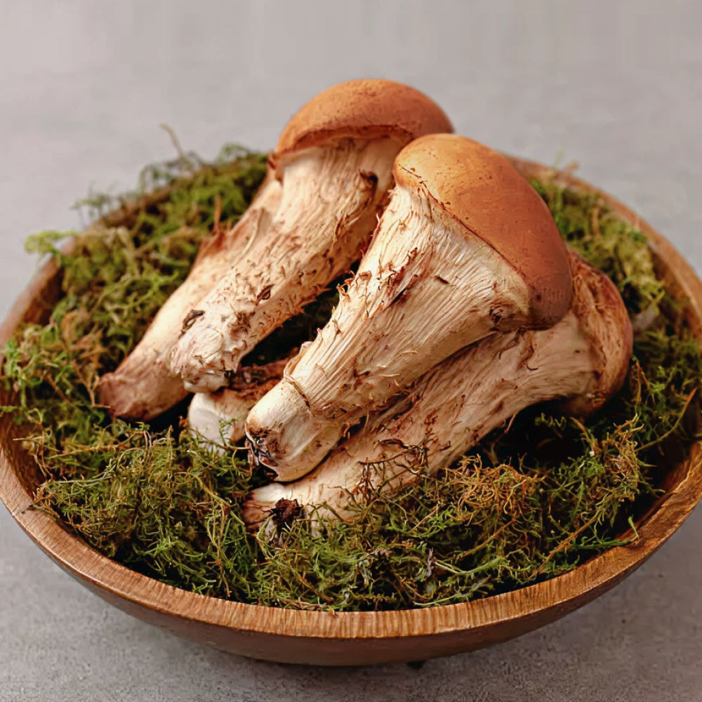 [오픈이벤트] 버섯1번지 국내산 무농약 참송이버섯 실속형 (못난이), 1kg (못난이), 1박스 29,510원