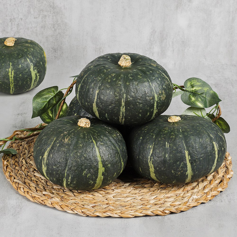 용이네 2026년 햇 단호박 뉴질랜드 제철 3kg 5kg 10kg 뉴질랜드 뉴칼레도니아, 1박스, 10kg소(10~16수) 33,900원