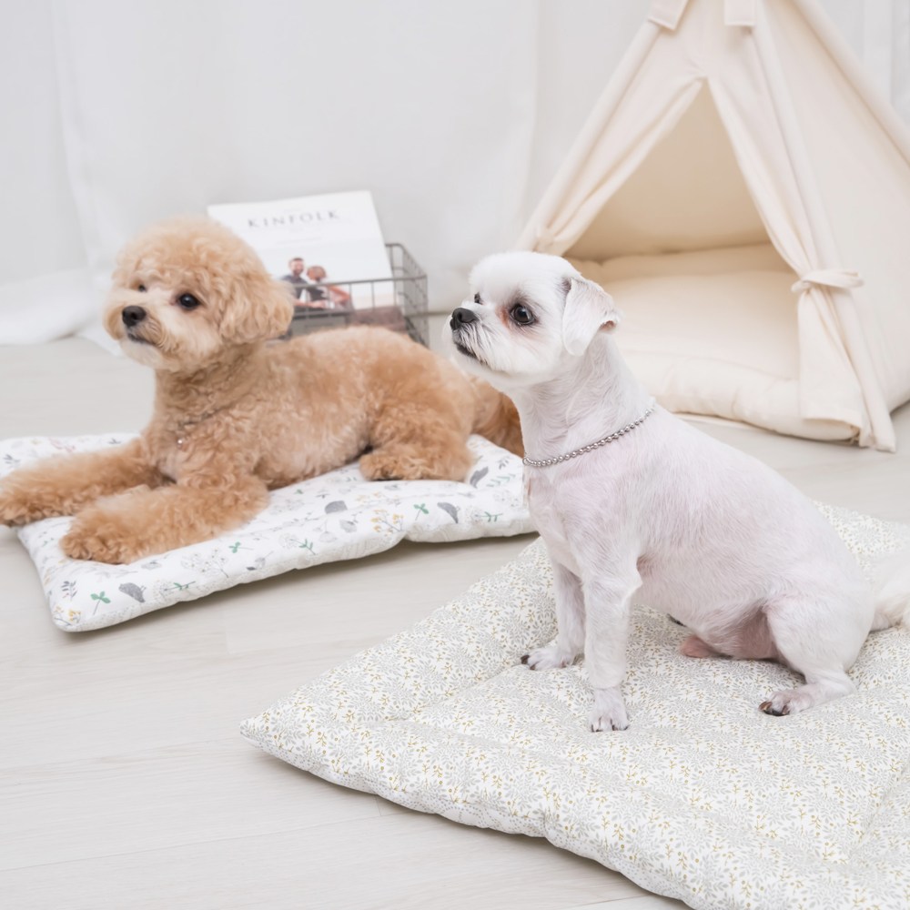사계절용 꿀잠 순면 강아지방석 매트, 몽키랜드, 1개 14,900원