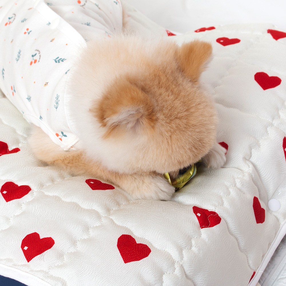 해피앤퍼피 강아지쿨매트 원터치 세탁방석 13,900원