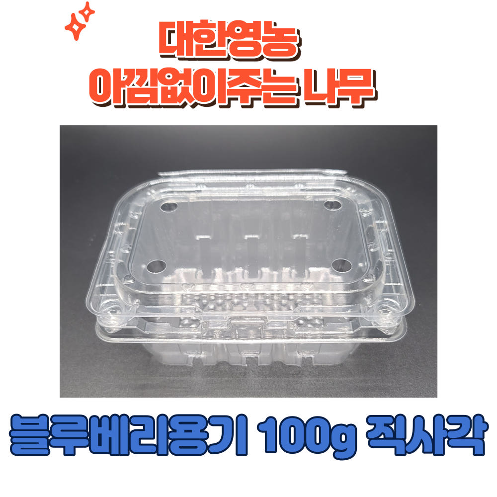 블루베리 용기 100g 직사각 대한영농 120원