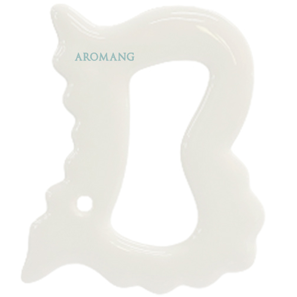 아로망 페이스 앤 바디 BB 괄사, 1개, 단일색상 60,900원