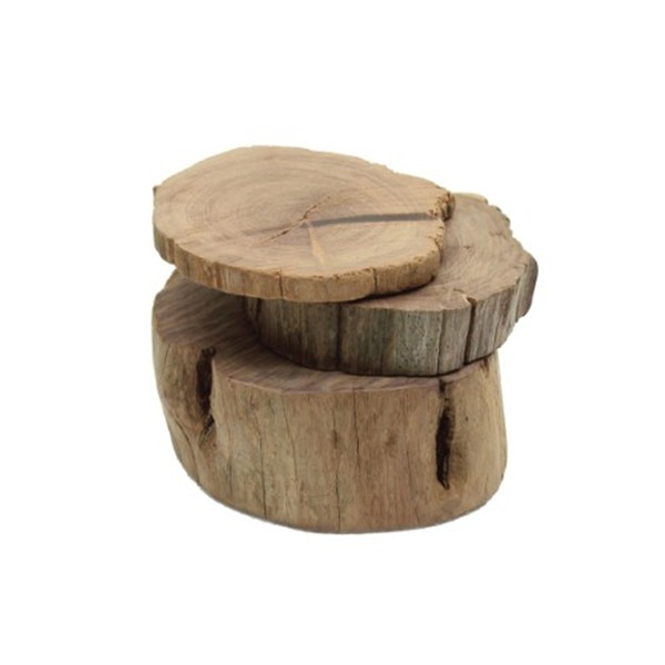 영아쿠아 세틀 절단 유목 S 1.5Cm 모스활착, 5개 7,000원