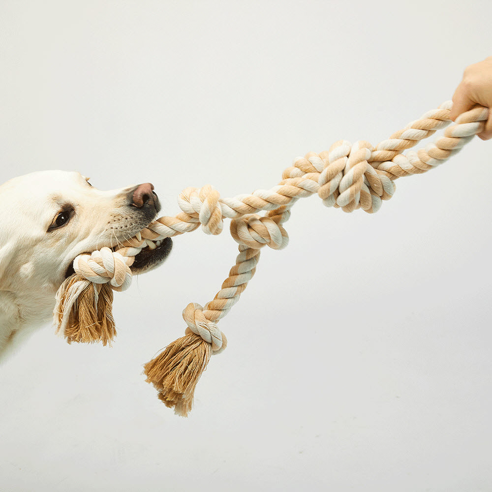 럭키페터 강아지 대형견 터그놀이 장난감, 베이지, 1개 7,500원