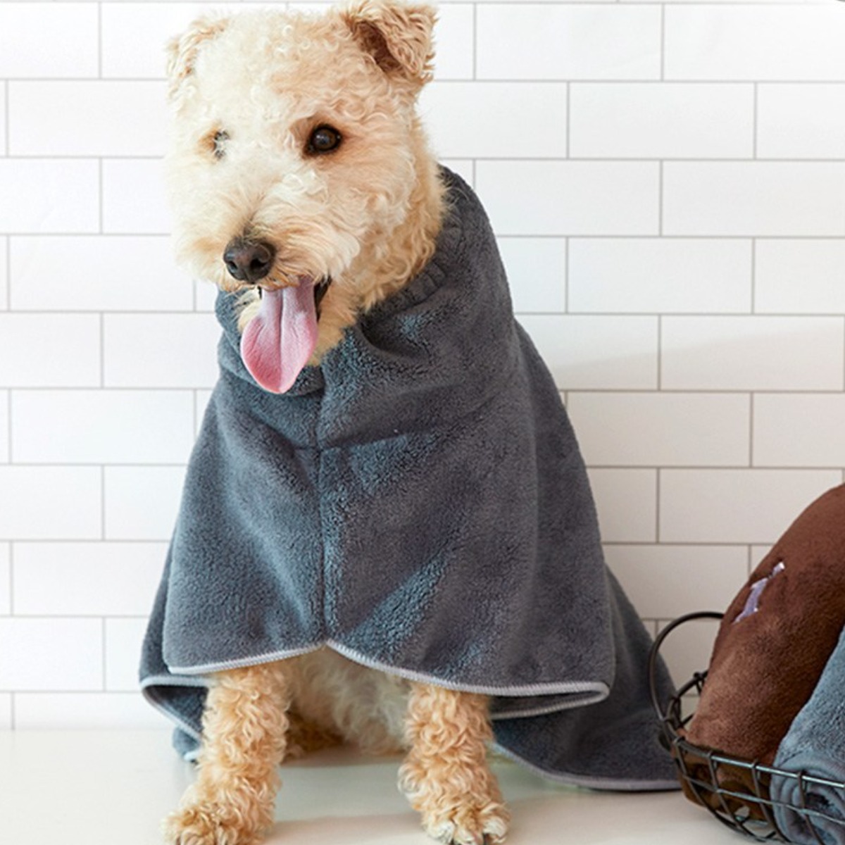 펫아미고 퀵드라이 펫타올 가운형 2가지 사이즈 (ML)  극세사 강아지타올 고양이타올 대형견타올 리트리버 9,900원