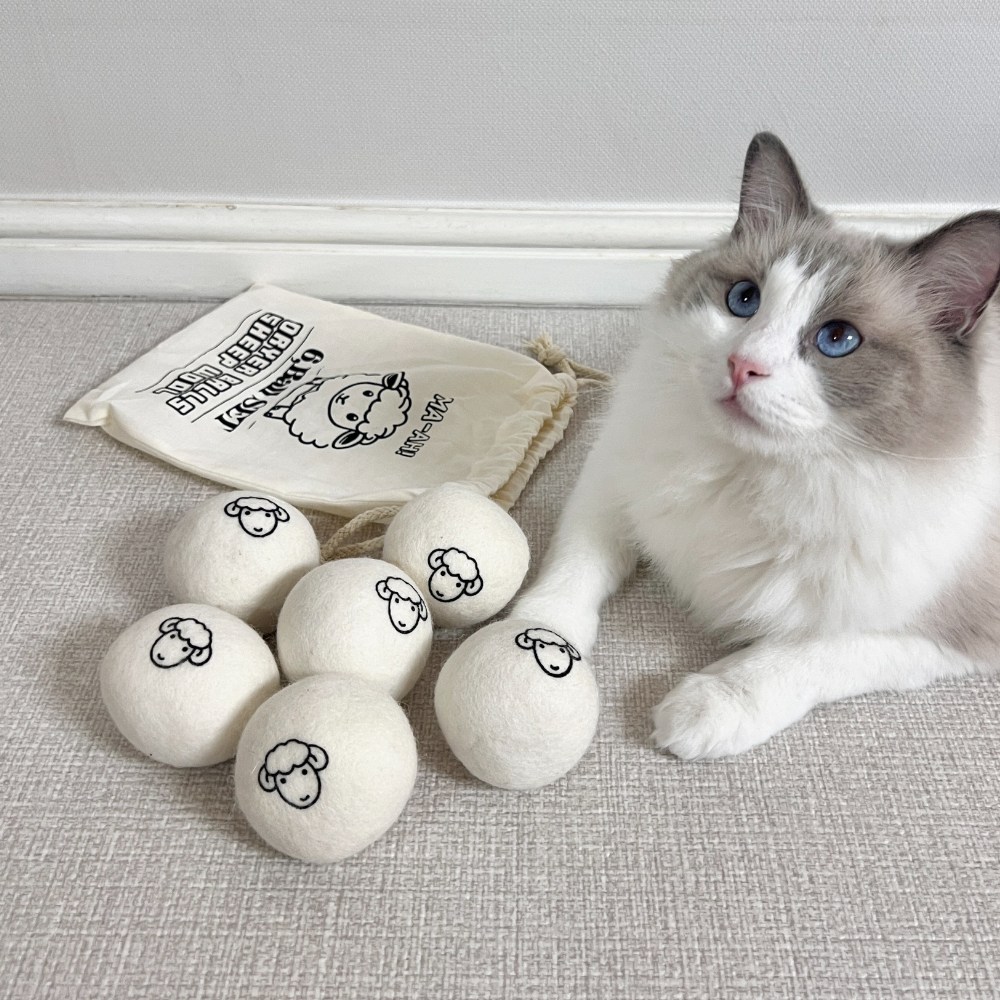 고양이 양모볼 장난감 6p + 파우치 세트, 아이보리, 1세트 8,120원