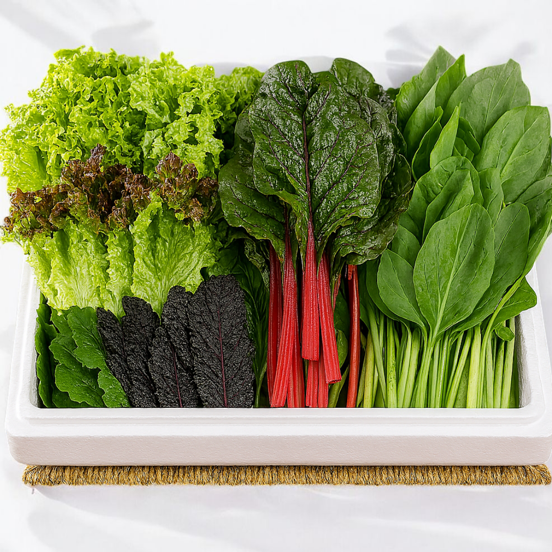 유기농 무농약 모듬 쌈채소 7종 유럽 상추 치커리 로메인, 1개, 1kg 29,020원