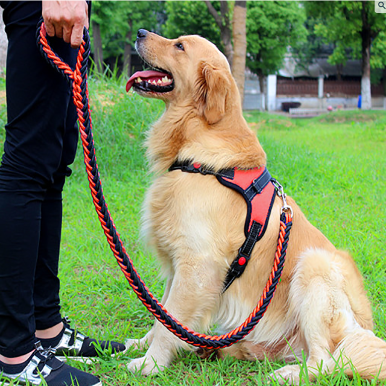 견생견사 소중대형견 하네스 + 리드줄 세트, 레드(세트), 1개 19,840원