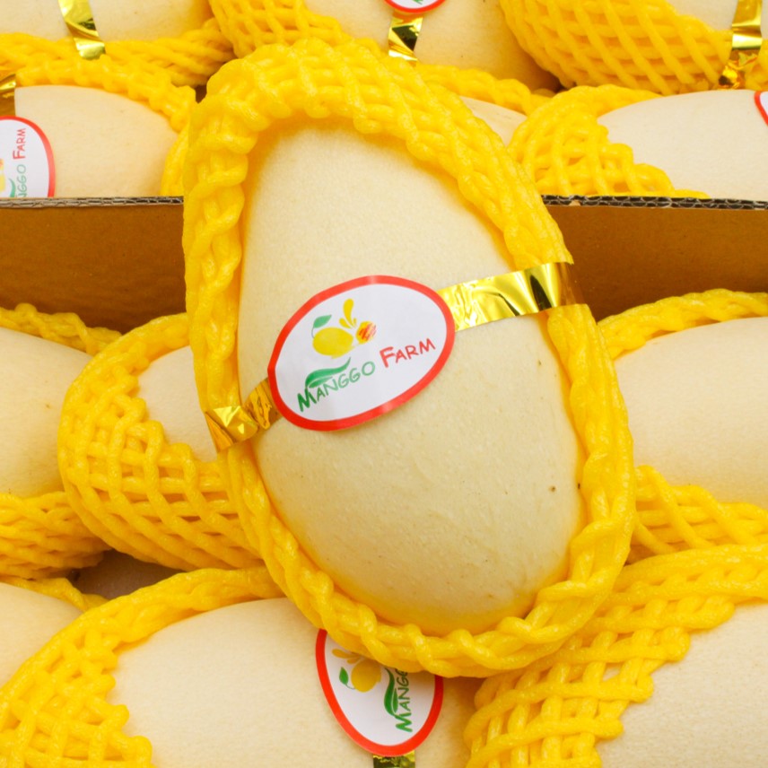 [재구매율 1위] 18brix 고당도 태국 남독마이 망고 55,000원