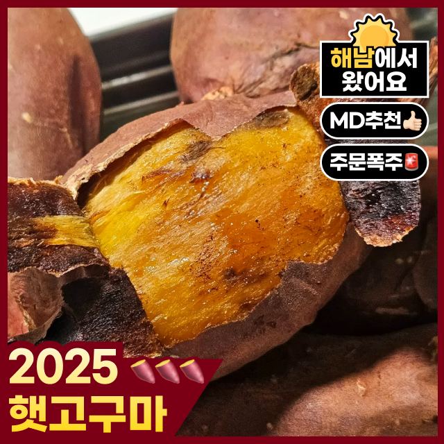 맛꾼 고구마 해남 황금 호박 꿀고구마 베니하루카 15,900원