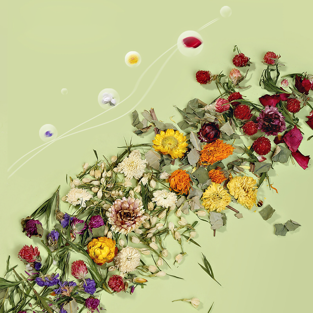 타핏 햄스터 드라이플라워 건조꽃 모음 4종 6,900원