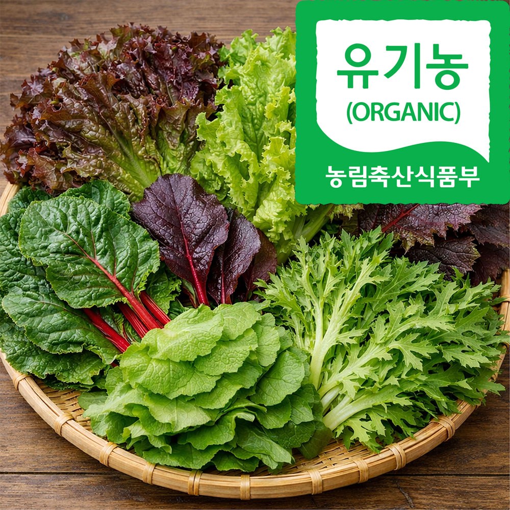 국내산 충북 당일수확 유기농 GAP 인증 모듬 쌈채소, 1세트, 600g 13,550원