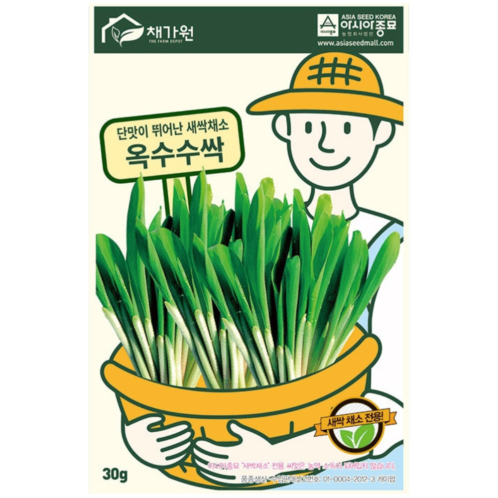 [주주씨앗] 옥수수싹 씨앗 30g, 기르기 쉬운 새싹보리 종자, 채소씨앗 2,800원