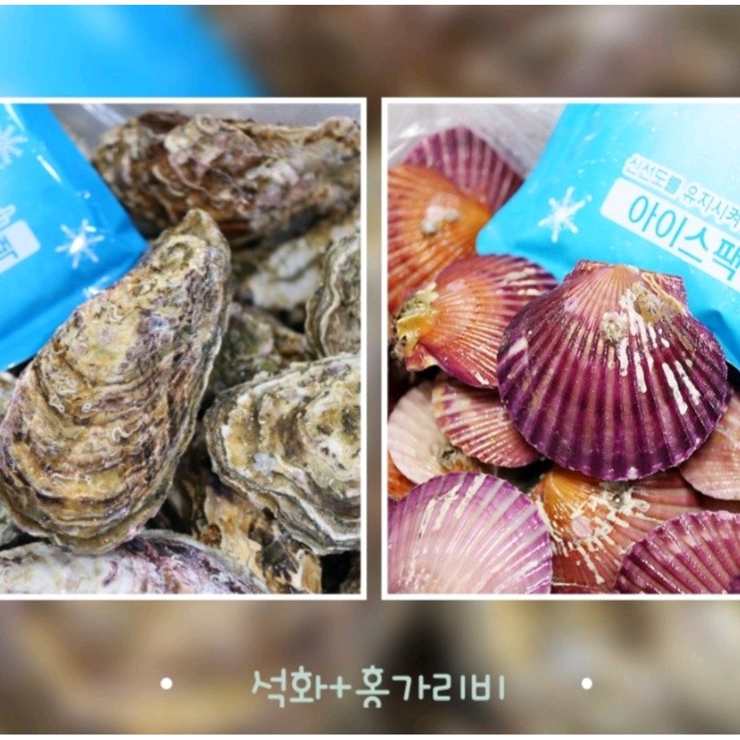 통영 성우수산 산지직송  깨끗한 프리미엄 세척 석화 홍가리비 28,900원