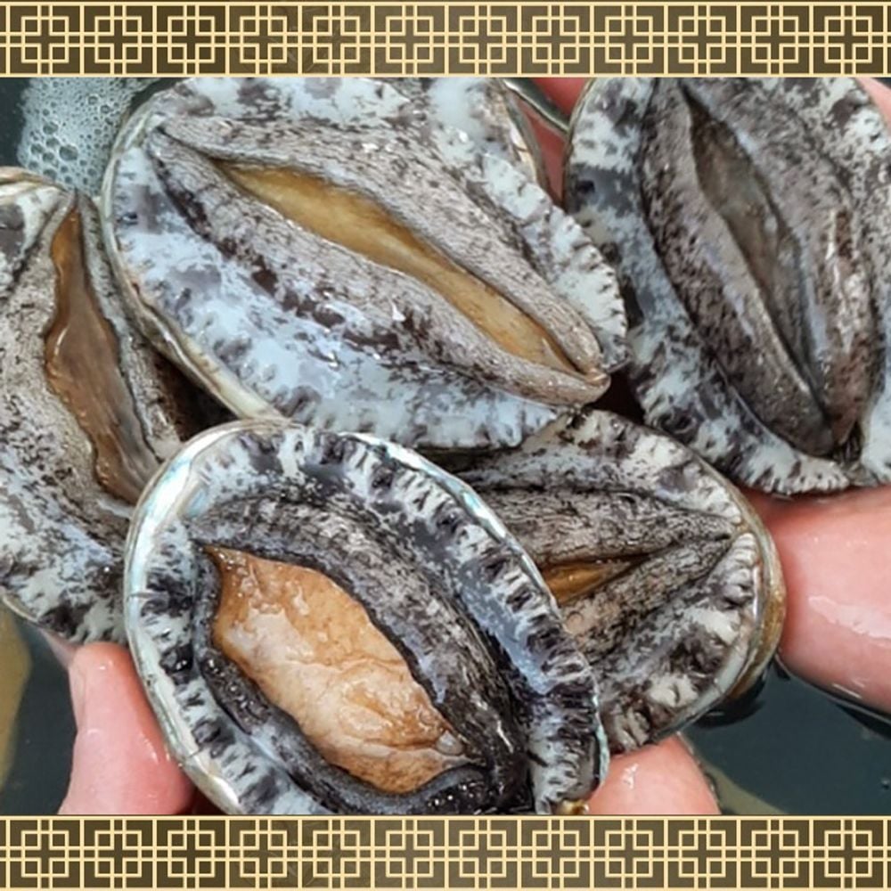 선물용 완도 활전복 세트 특대 1kg 추석 설날 답례품2026eand11 62,840원