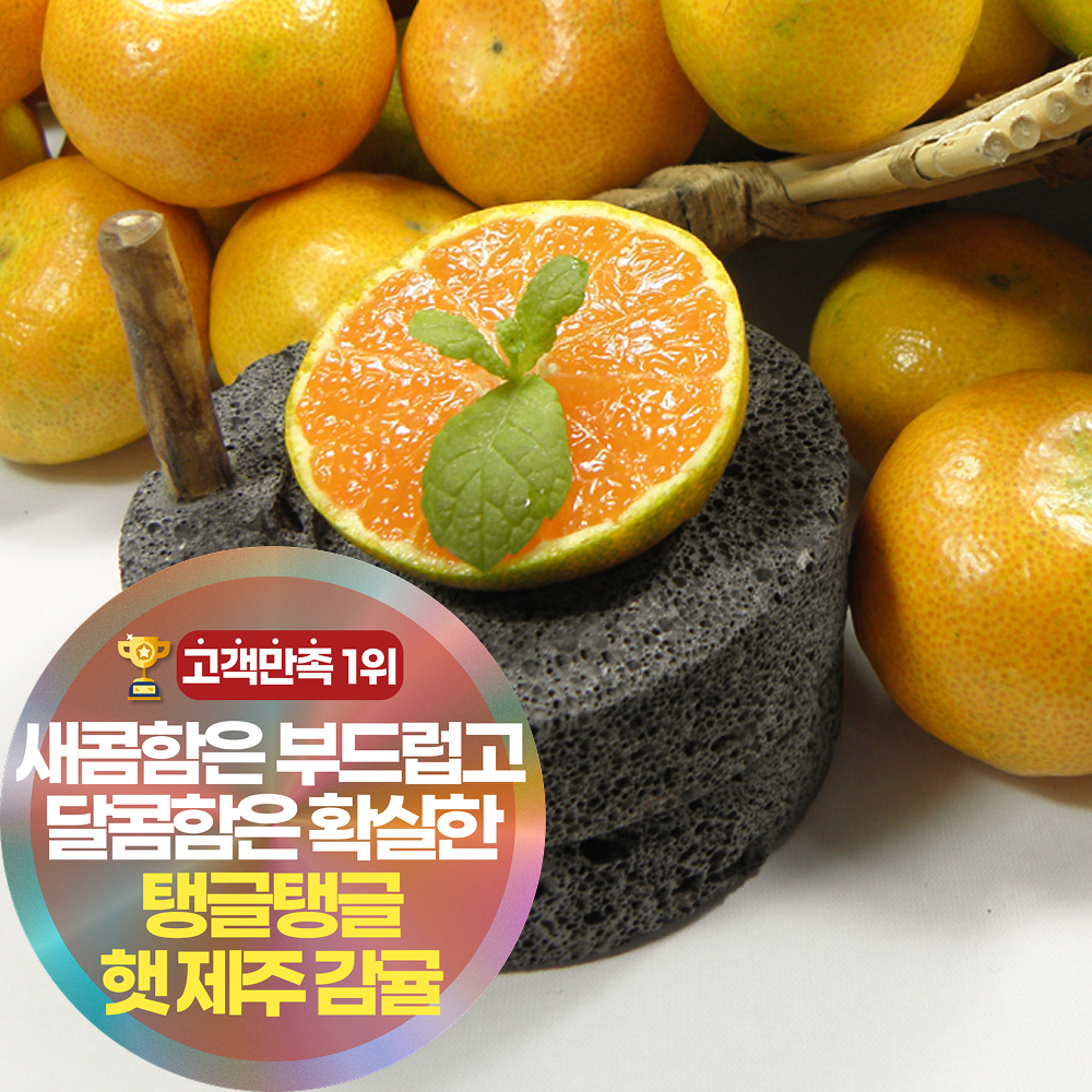 삼시세끼연구소 여름에도 톡 터지는 햇 제주 하우스 귤 밀감 감귤 19,900원