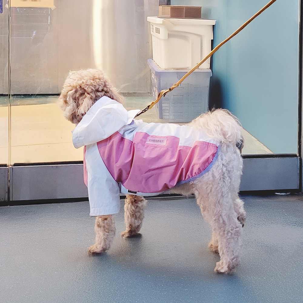 레토 강아지 바람막이 우비 12,660원