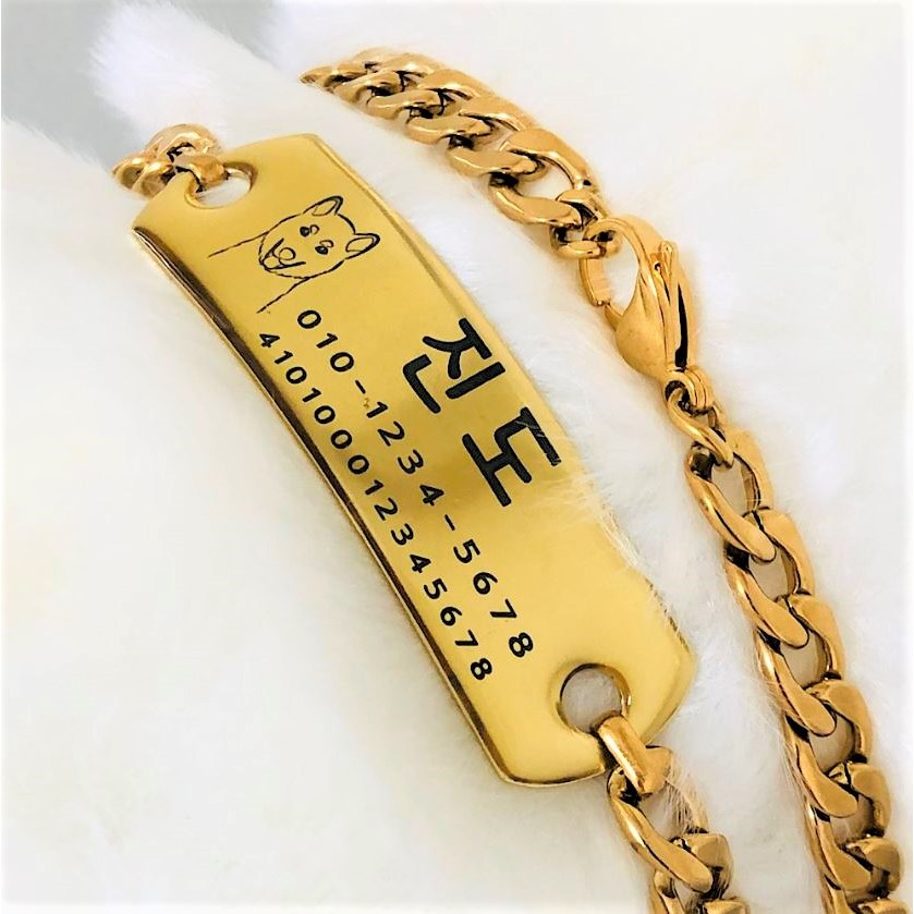 서은이네 진돗개 리트리버 허스키 대형견 중형견 믹스견 목걸이 인식표 (써지컬스틸체인) 투명코팅, 골드, 1개 40,000원