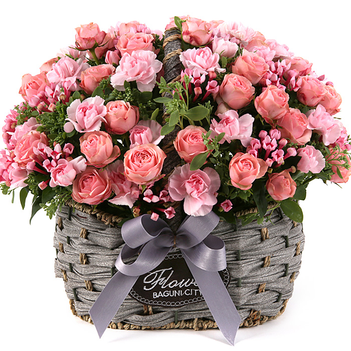 119플라워 (당일배송) 사랑의마음 ST-A1626 꽃바구니 전국꽃배달 생일 기념일 꽃선물 생화 꽃배달, 1개 66,900원