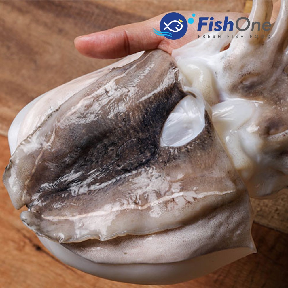 [피시원] 이력추적 국산 손질 갑오징어(대) 2kg(7-8미)냉동 68,900원